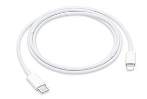 High Quality USB C to Lightning Cable 1ft (Certified for Apple)
