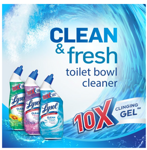 Lysol Clean and Fresh Toilet Bowl Cleaner, Country Scent, 24 Fluid Ounce