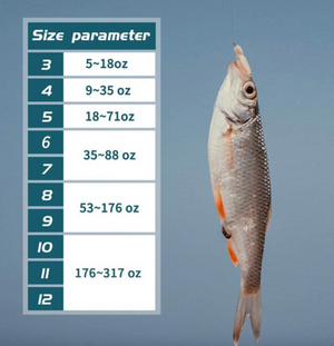 500pcs Fish Hooks 10 Sizes Fishing Black Silver Sharpened With Box Quality kit